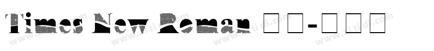 Times New Roman 常规字体转换